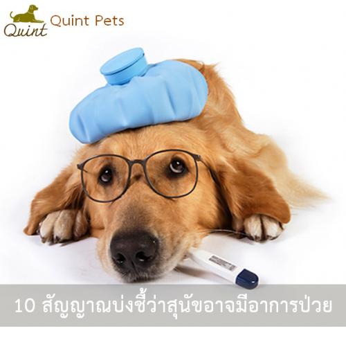 10 สัญญาณบ่งชี้ว่าสุนัขอาจมีอาการป่วย