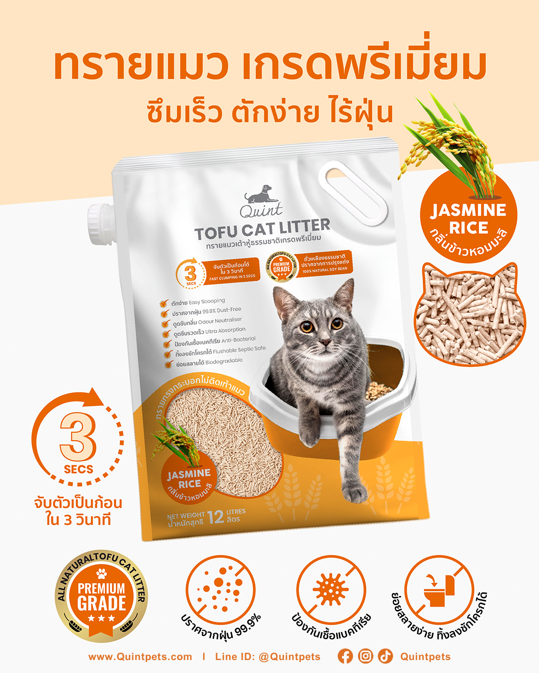 ควินท์ ทรายเต้าหู้ กลิ่นข้าวหอมมะลิ