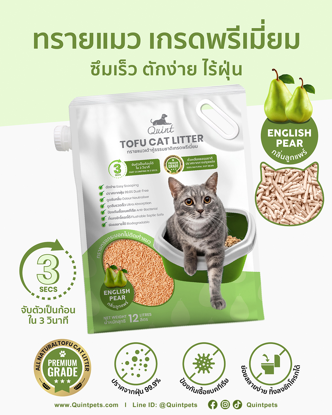 ควินท์ ทรายเต้าหู้ กลิ่นอิงลิชแพร์
