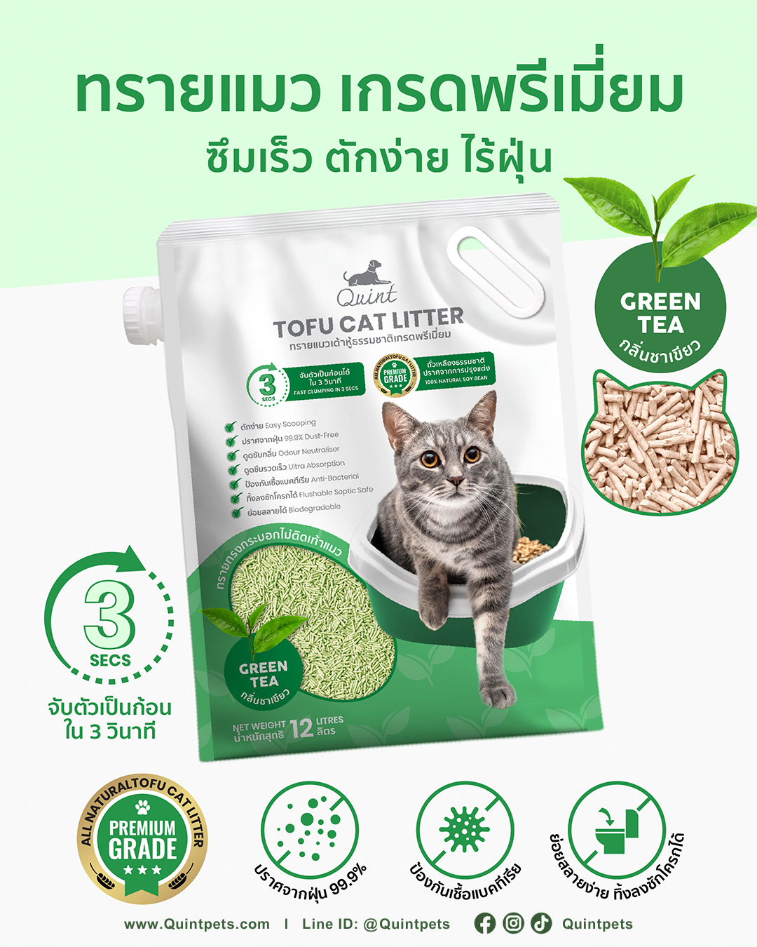 ควินท์ ทรายเต้าหู้ กลิ่นชาเขียว