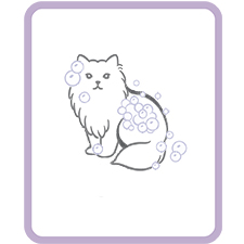 CAT ORGANIC SHAMPOO & CONDITIONER